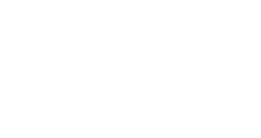 Logo DEI